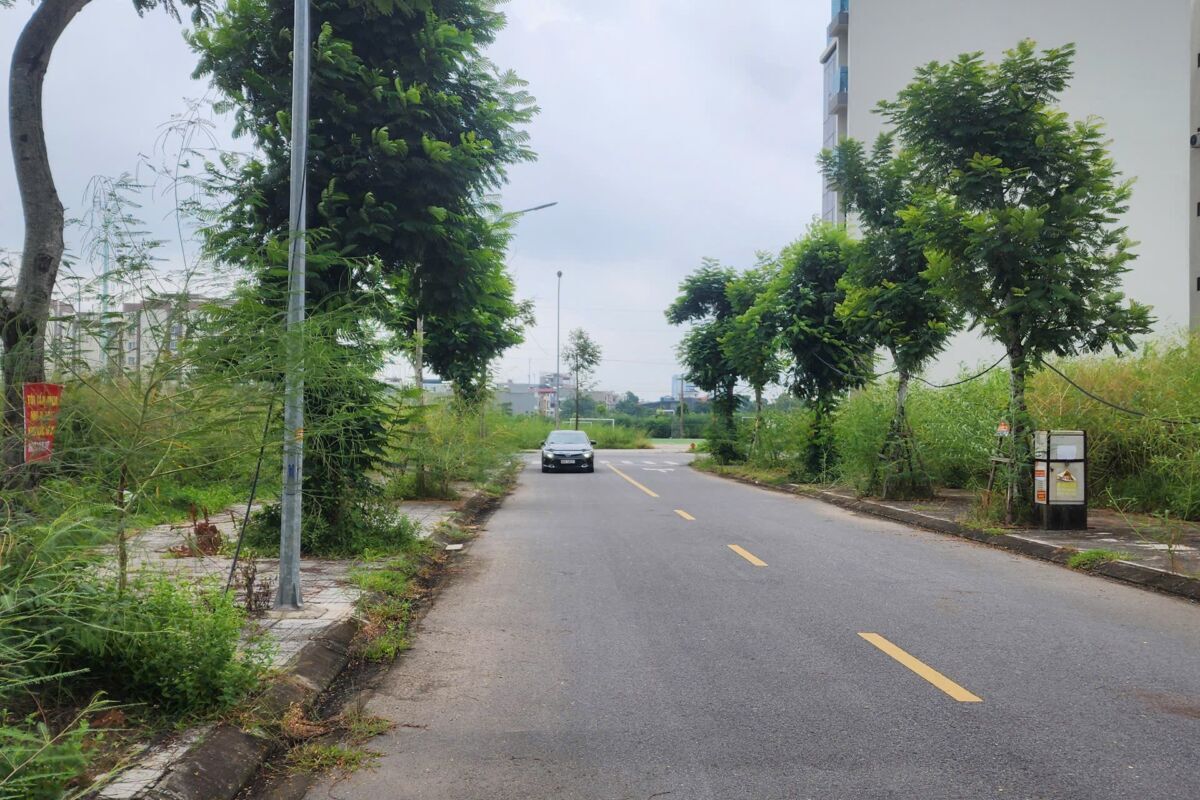 Dự án him lâm -thụ ninh duy nhất lô 119m mặt 7m giá 11,5 tỷ