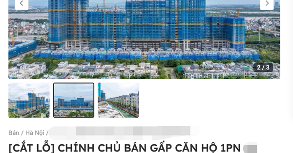 Thị Trường Bất Động Sản 2023: Xu Hướng và Cơ Hội Đầu Tư
