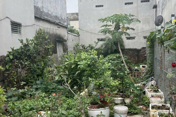 Thổ cư thôn thượng – khắc niệm 125m hơn 3 tỷ sát khu công nghiệp hạp lĩnh