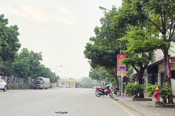 Bán biệt thự trung tâm trâu quỳ gia lâm 281m2 mặt tiền 12m