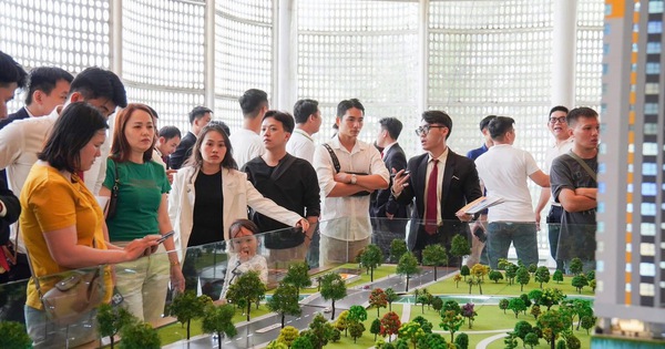 Cập nhật quy hoạch hạ tầng tại Đà Nẵng: Tác động đến thị trường B