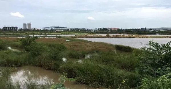 Tác động quy hoạch mới tại Bình Dương đến thị trường bất động sản