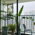 Diễn biến mới trên thị trường bất động sản tại Bình Dương